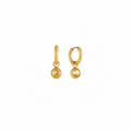 Solara Crystal Drop Earrings